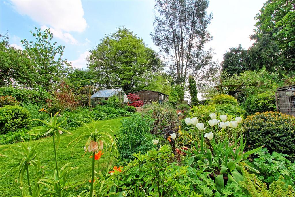 REAR GARDEN pic 3
