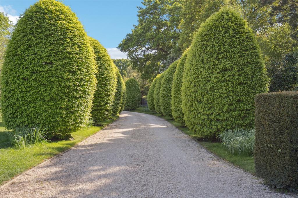 Driveway