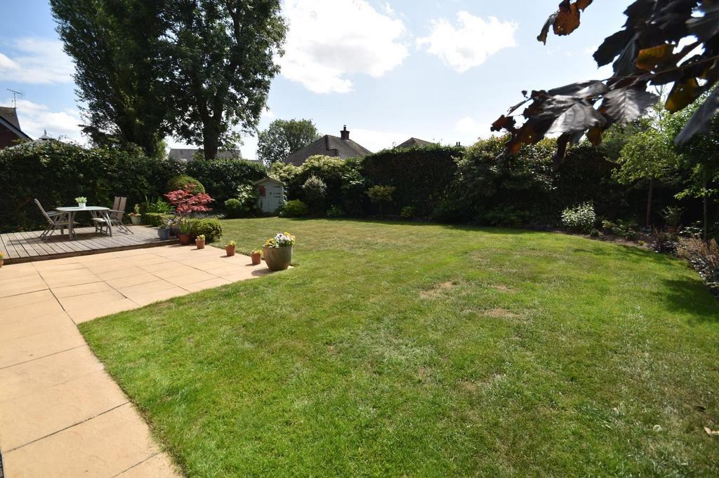 Garden .2.jpg