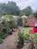 Additional image 16 of Alexandra Road, Eccles, M30