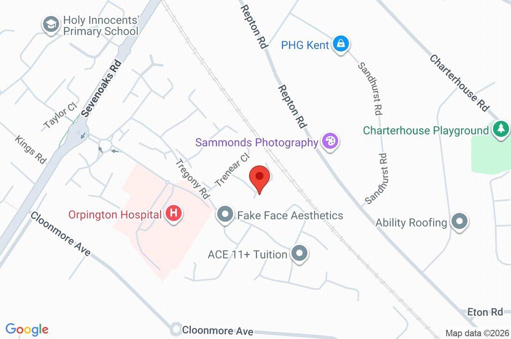Google Maps Image