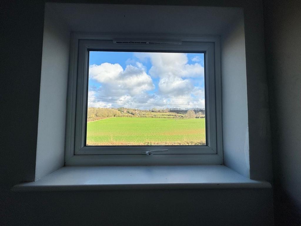 View from window.jpg