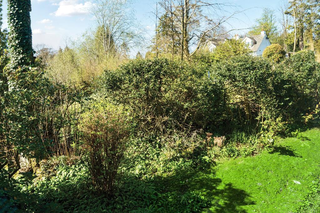 Communal Garden