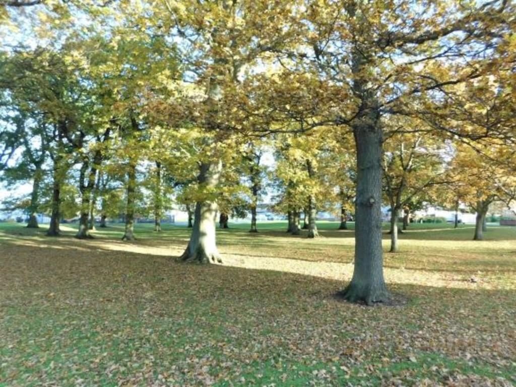 Park