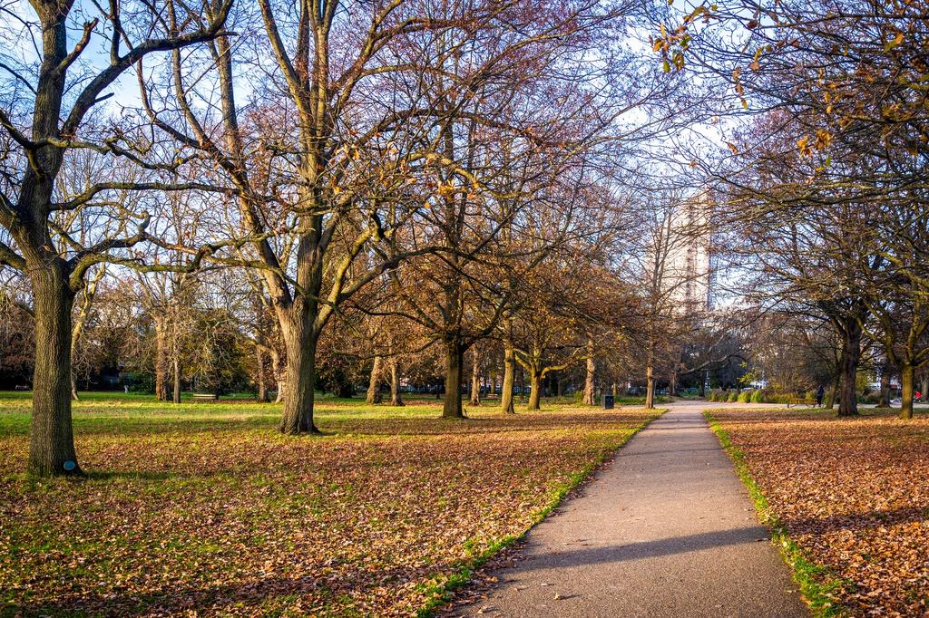 Park