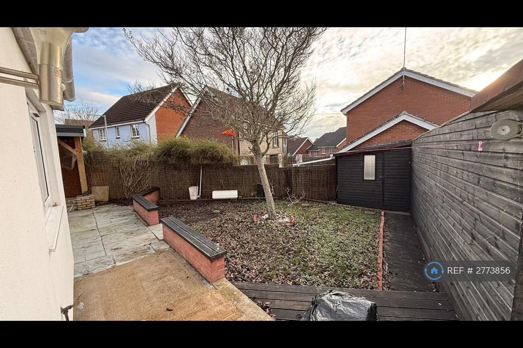 Back Garden