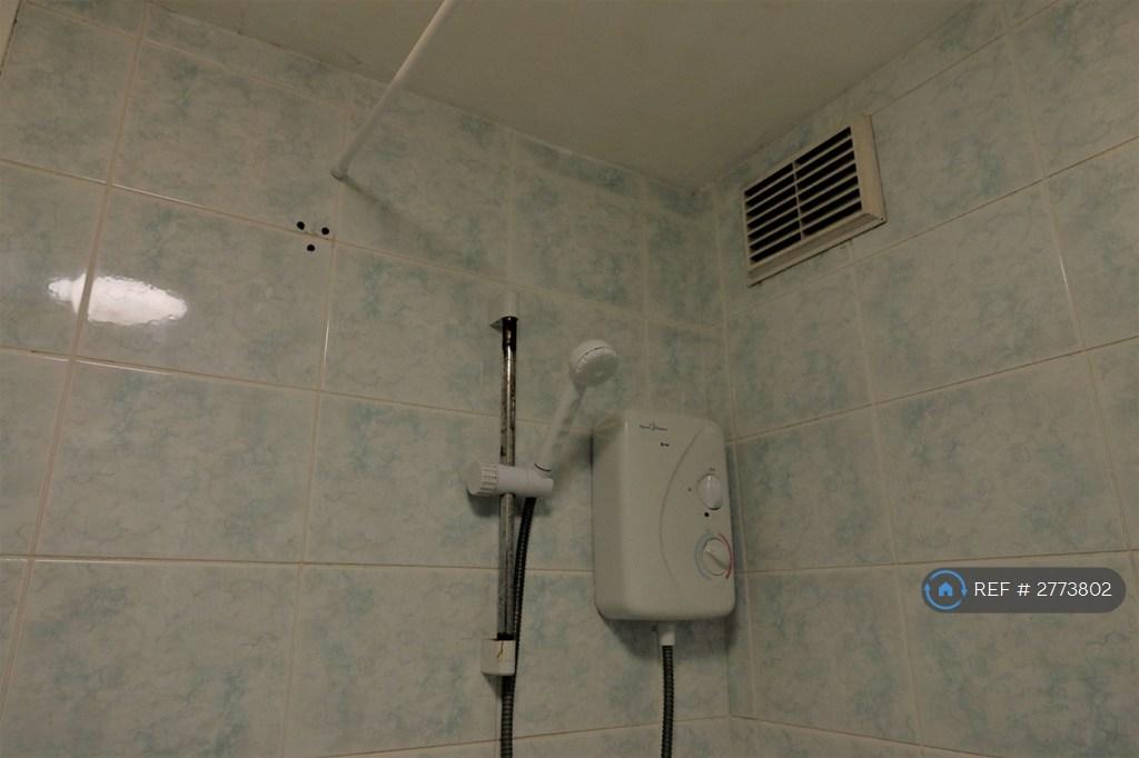 Electric Shower