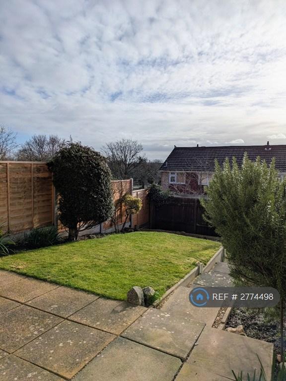 Back Garden
