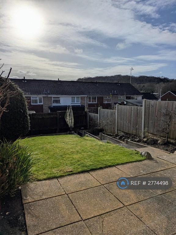 Back Garden