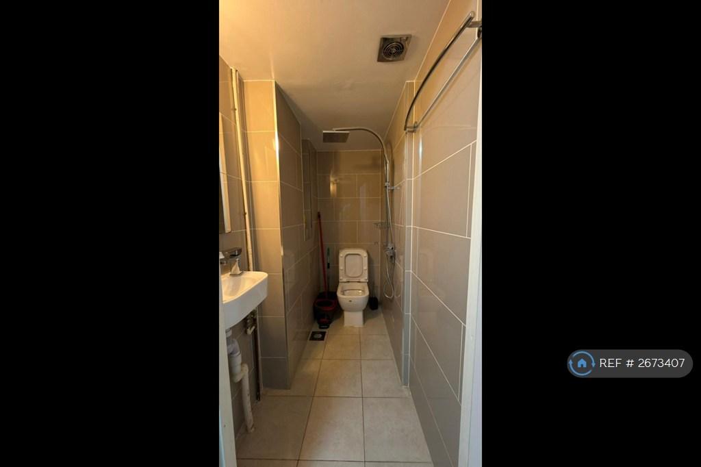 Bathroom-Downstairs