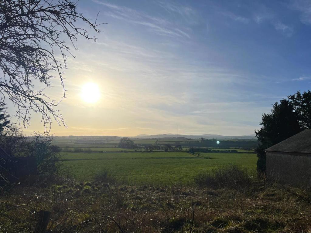 View From The House