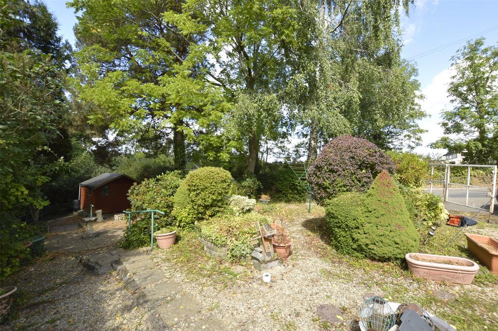 Top Garden Section