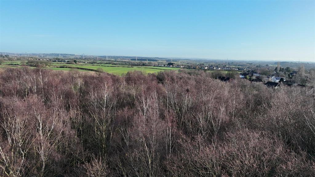 Dji 20260128104340 0989 d.jpg