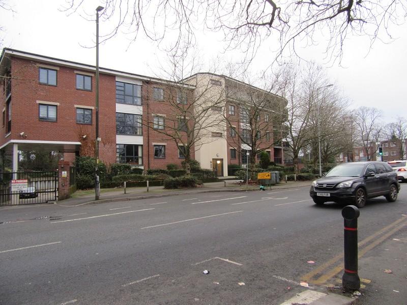 Main Image