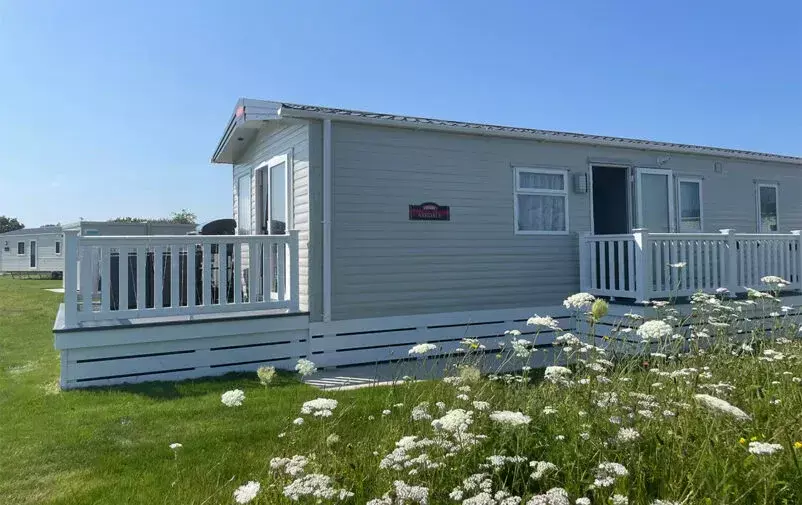 Img 2516 Edit Web 802x505 F50 50