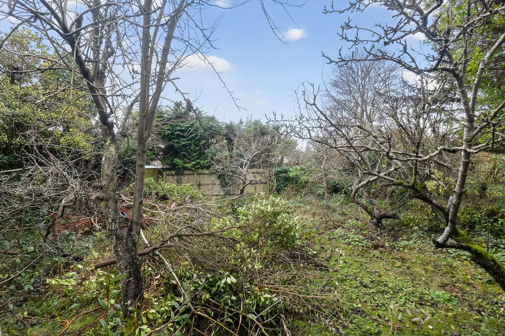 Orchard