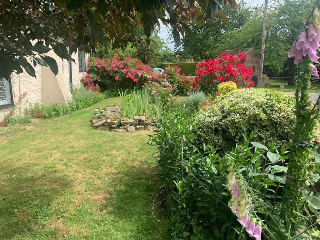 Front garden in the summer.jpeg