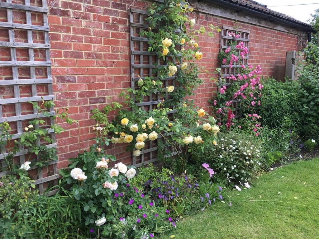 Garden.jpeg
