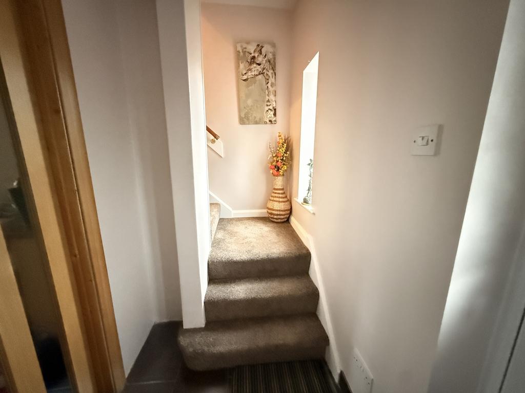Img 2160