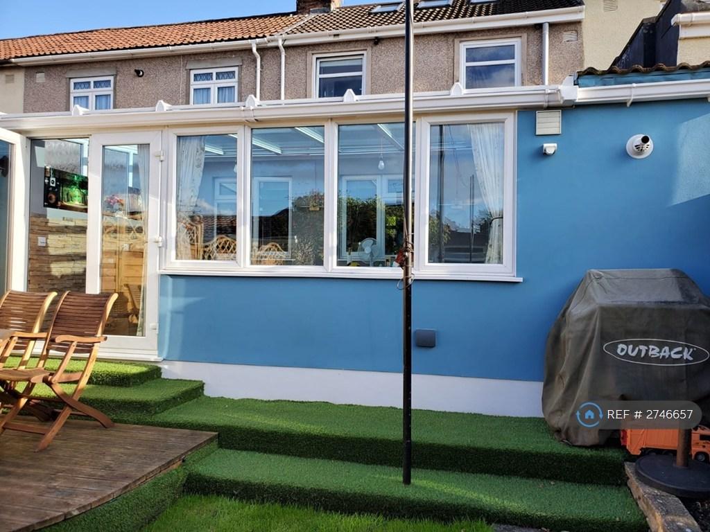 The Back Of The House