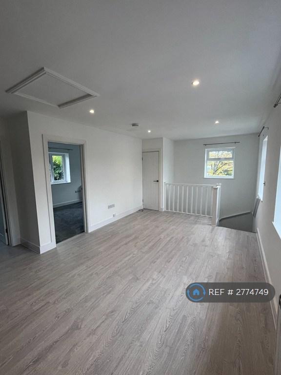 Kitchen / Living Area
