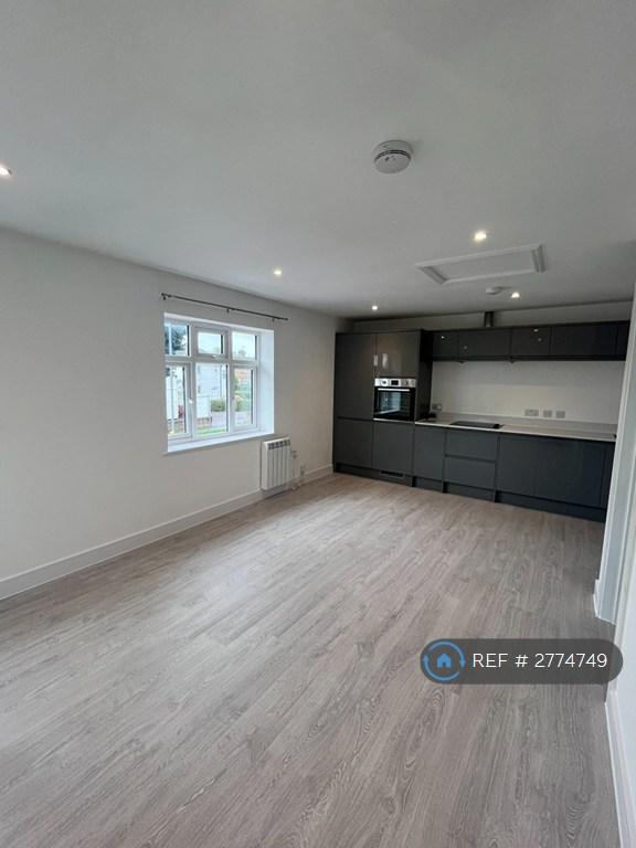 Kitchen / Living Area