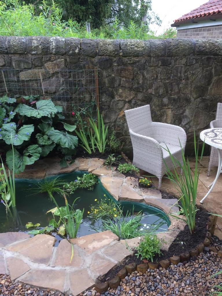 Garden (4).jpeg