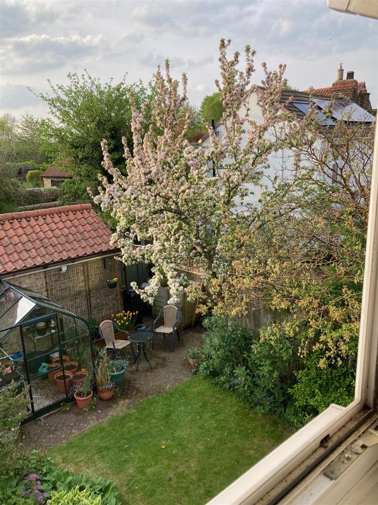 Garden (7).jpeg