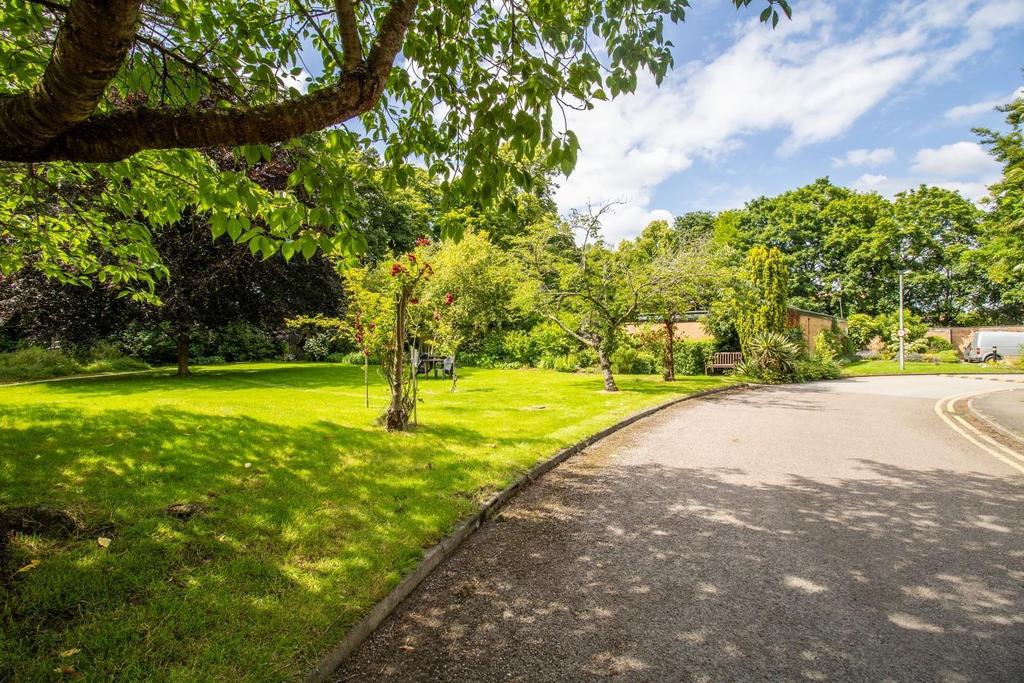 Gardens in the summer