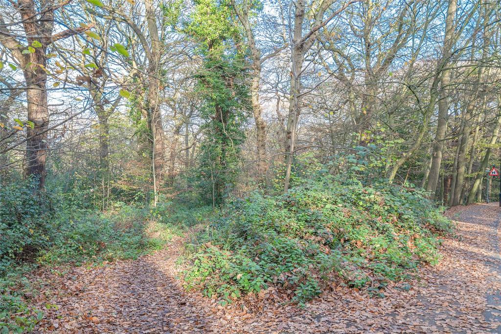 Queens Wood A