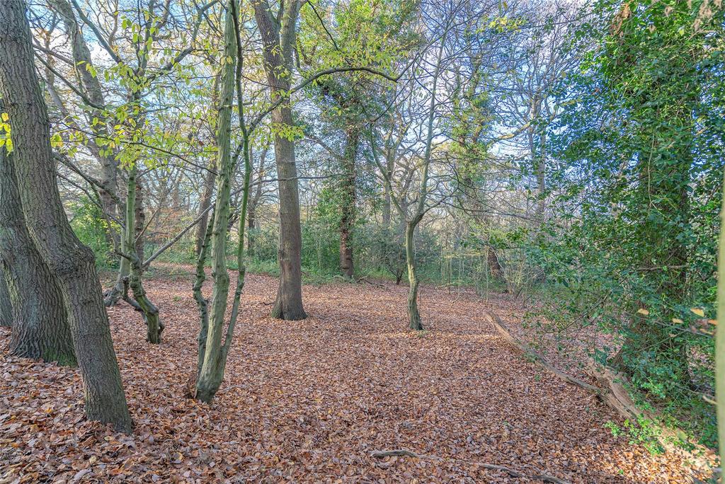 Queens Wood C