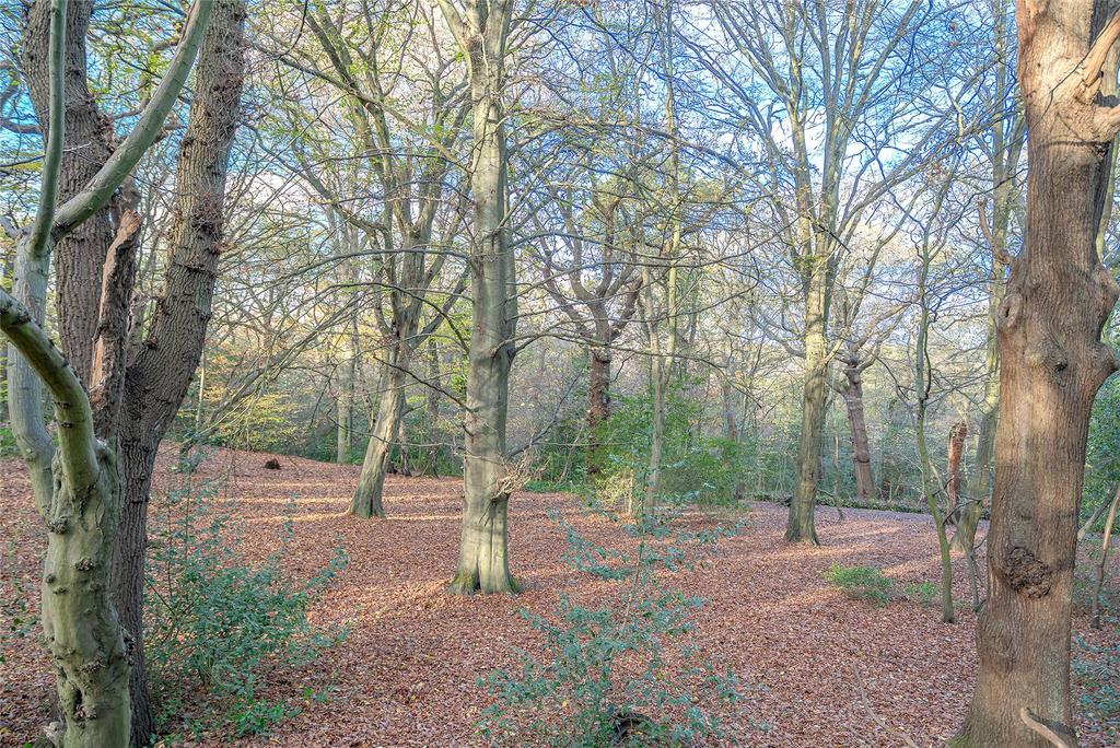 Queens Wood E