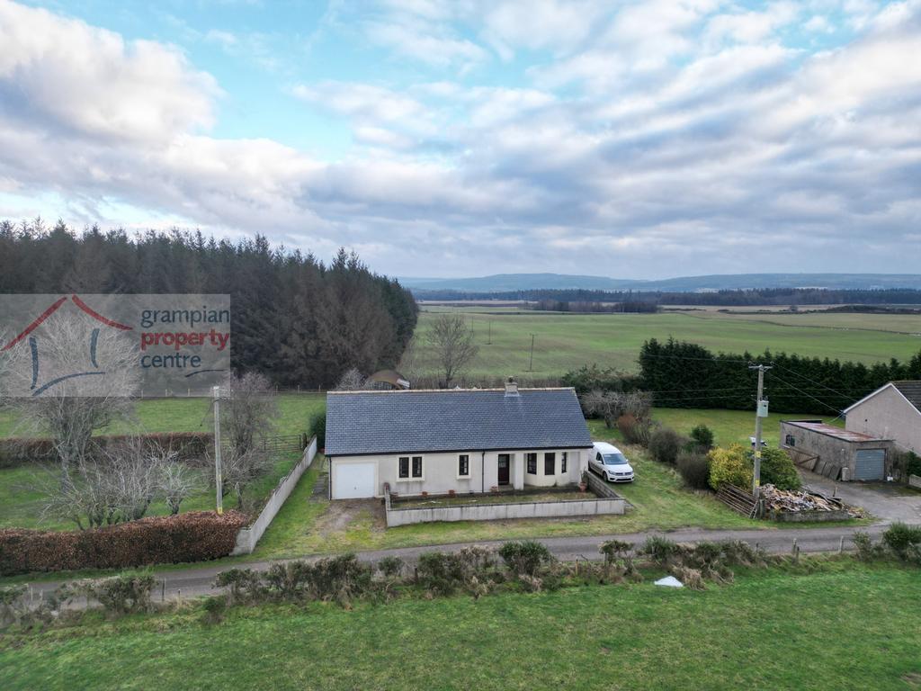 Dji fly 20260120 220402 39 1768919514984 photo