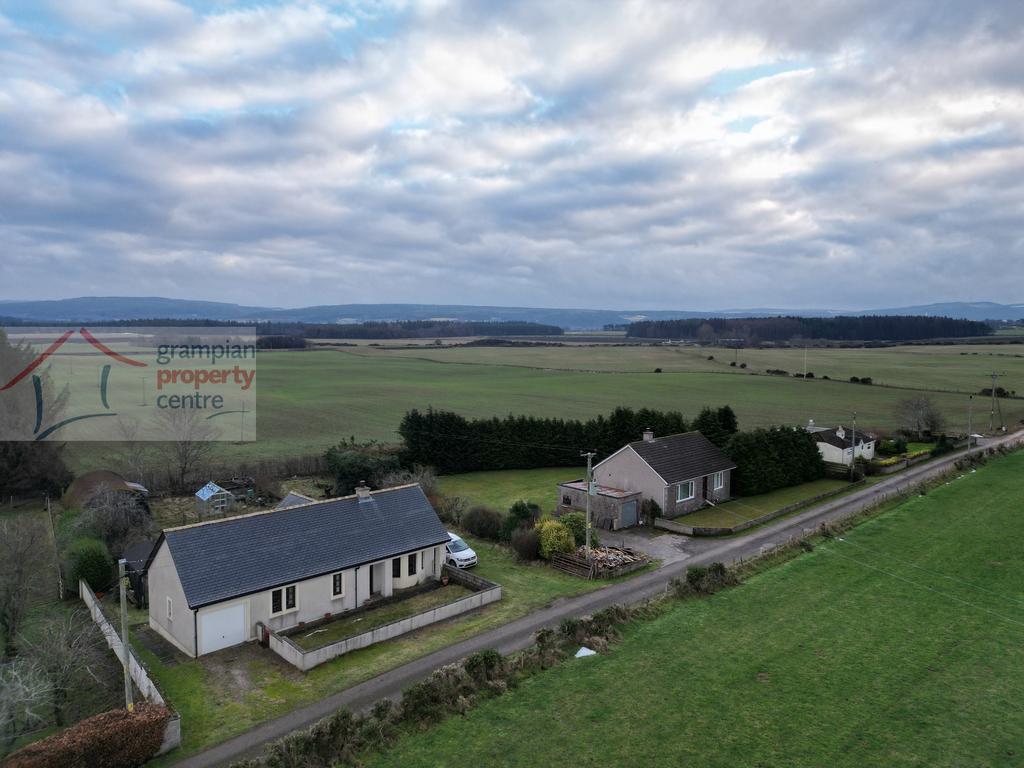 Dji fly 20260120 220438 42 1768919514309 photo