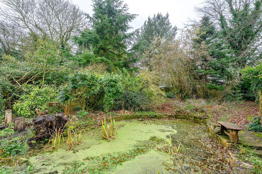 REAR GARDEN & POND