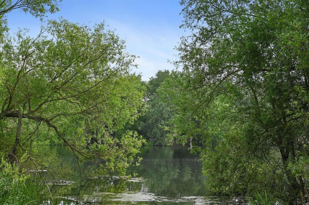 Alton Water View