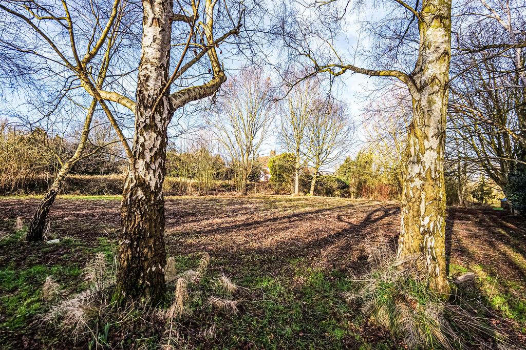 Woodland