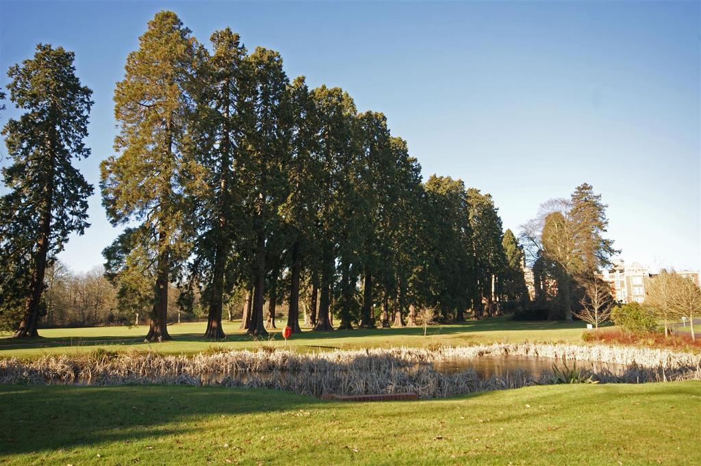 Grounds