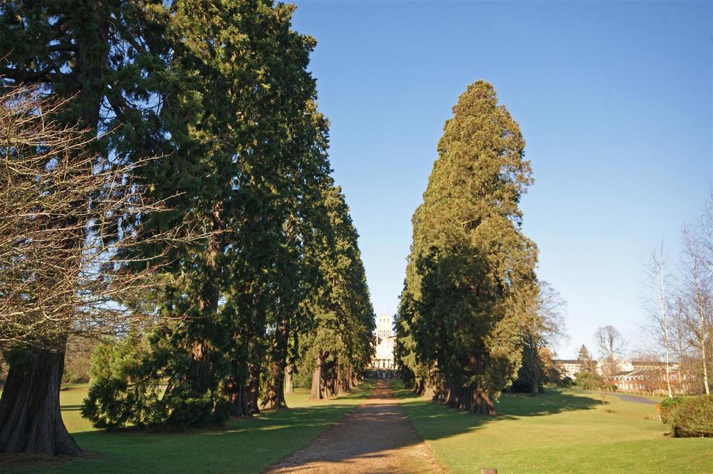 Grounds