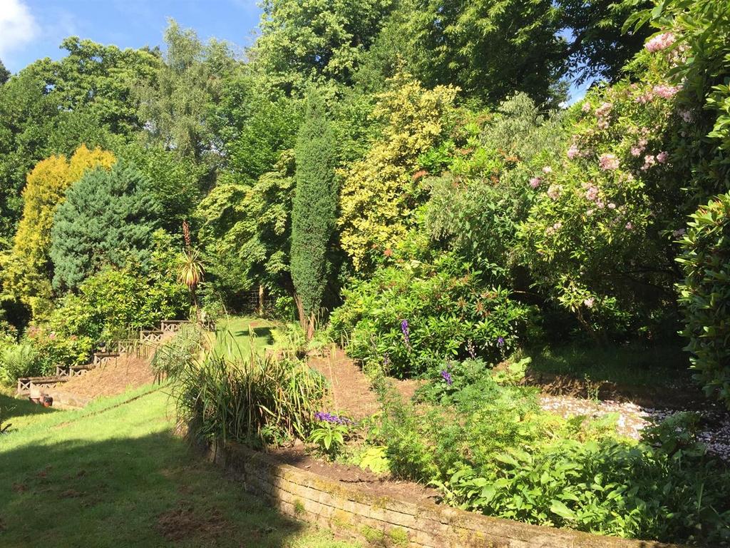 Summer Photo Garden
