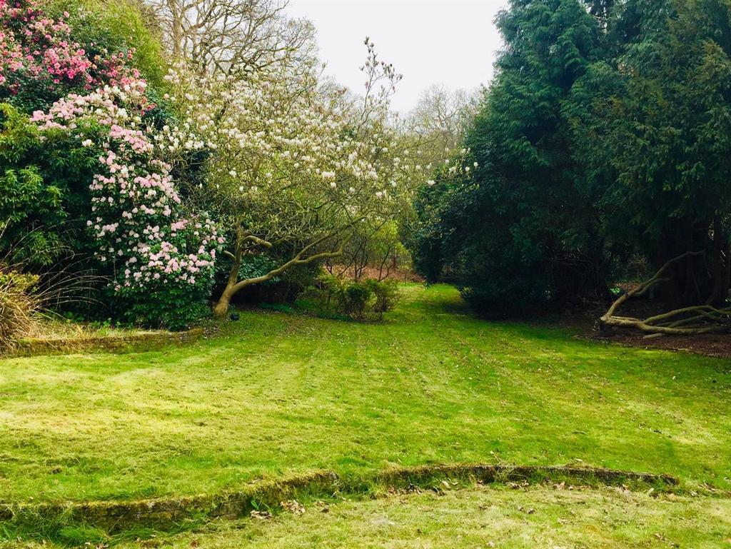 Summer Photo Garden