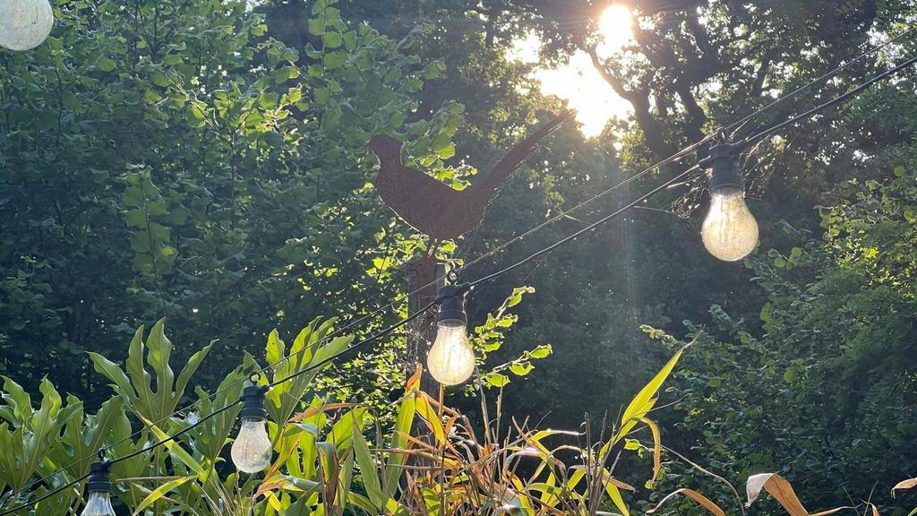 Summer Photo Garden