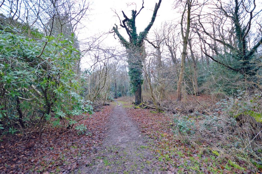 National Trust West Runton &amp; Beeston Regis Heath