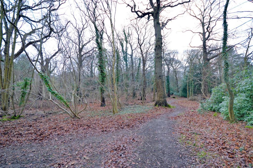 National Trust West Runton &amp; Beeston Regis Heath