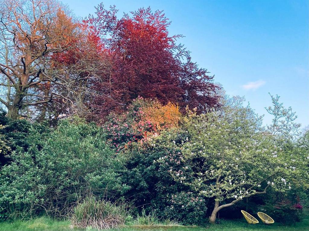 Summer Photo Garden
