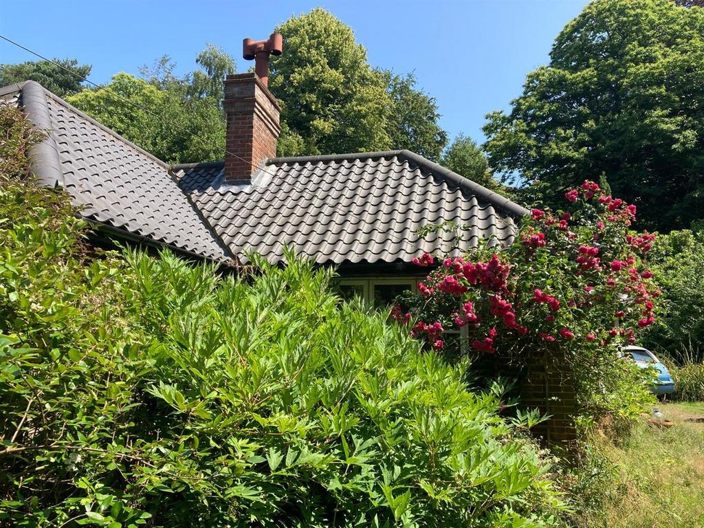 Summer Photo Garden