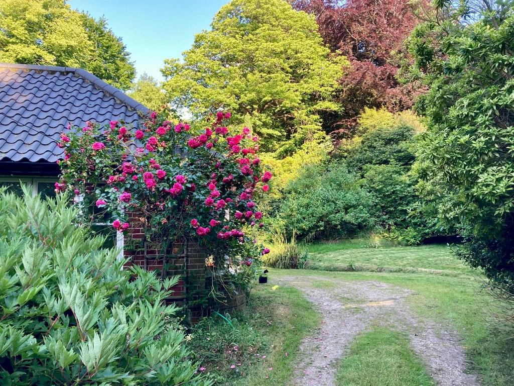 Summer Photo Driveway