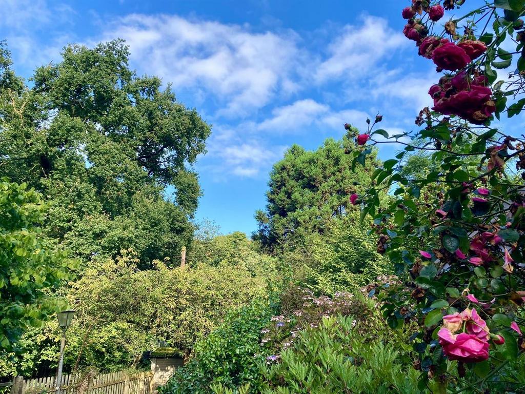 Summer Photo Garden