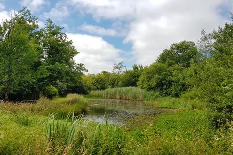 undefined, Carminow Wood (8 acres) - Ashwater, Near Holsworthy Devon  EX21