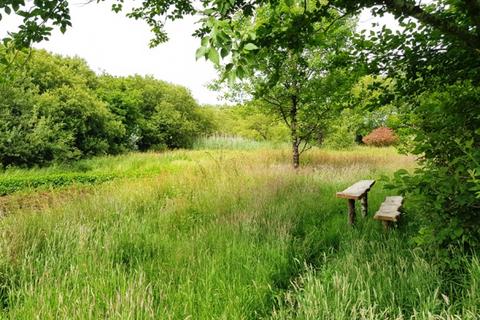 undefined, Carminow Wood (8 acres) - Ashwater, Near Holsworthy Devon  EX21